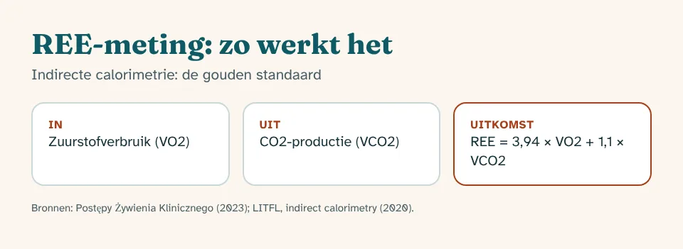 REE-meting in Almere: infographic met wat je weet voordat je begint, met bron